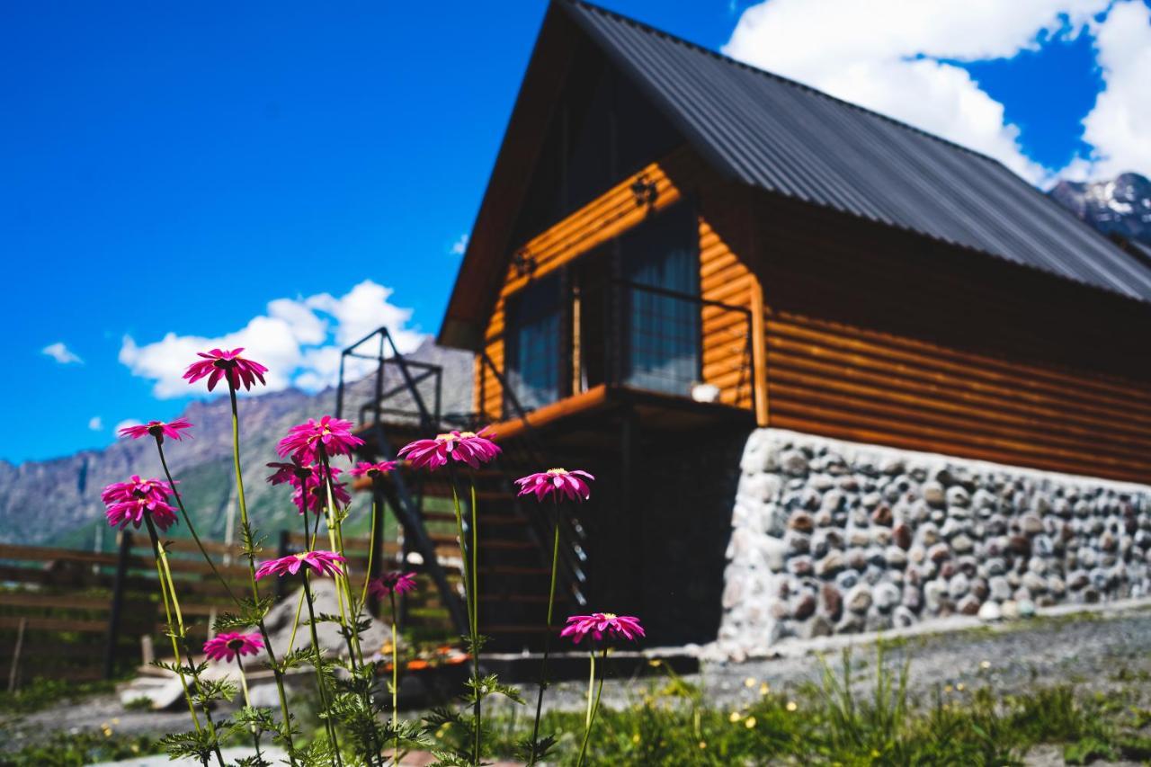 Traveler'S Cottages In Kazbegi Ngoại thất bức ảnh