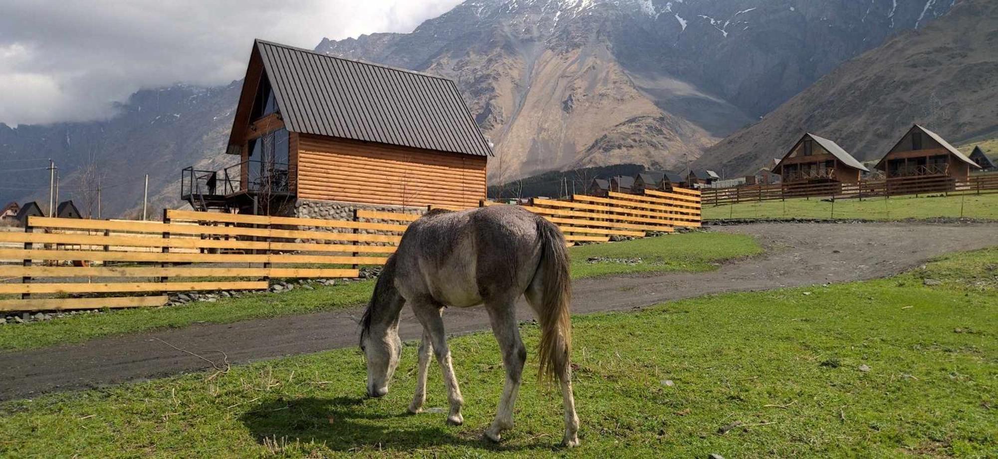 Traveler'S Cottages In Kazbegi Ngoại thất bức ảnh